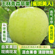 正宗王林蘋(píng)果脆甜新鮮9斤青蘋(píng)果玉林青森雀斑綠水果非酸新疆印度 3斤【現摘現發(fā)】 中果【單果75-80mm左右】