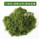仿真苔蘚草皮仿生青苔假苔蘚仿真草坪花盆鋪面草盆栽綠植造景擺件 【深綠色200克】仿真絲狀苔蘚