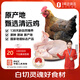 溫潤食品 原種138天清遠雞1.2kg 國家地理標志產(chǎn)品慢養(yǎng)麻雞純種土雞走地雞