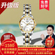 歐品客瑞士認證品牌手表女簡(jiǎn)約氣質(zhì)女士手表夜光防水女表全自動(dòng)機械表 升級加強版-鋼帶間白女-終身保