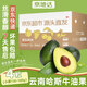京地達云南哈斯牛油果單果130g*4粒 京東自營(yíng)新鮮水果 源頭直發(fā)包郵