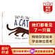 他們都看見(jiàn)了一只貓 英文原版 They All Saw A Cat 大獎繪本 Brendan Wenzel 培養觀(guān)察力好奇心想象力 搭一動(dòng)不動(dòng)的石頭 你好你好