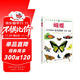 大自然博物館·百科珍藏圖鑒系列--蝴蝶