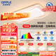 歐普（OPPLE）護(hù)眼全光譜吸頂燈客廳燈LED智能高亮線條燈簡約奶油風(fēng)包安裝套餐1