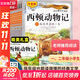 西頓動物記 彩圖注音版朗讀音頻 全10冊禮盒裝 小學(xué)一二年級小學(xué)生課外閱讀書目兒童文學(xué)經(jīng)典 曹文軒 自然生命動物科普 新華正版