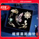Marco Bizzarri【高檔品牌胸針】胸針高檔女胸花套裝奢侈飾品收腰防走光女士別針 一星期胸針禮盒套裝
