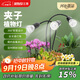 三思夾子植物燈led室內(nèi)全光譜綠植盆栽花卉分區(qū)補(bǔ)光燈-30W三頭定時(shí)