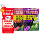 套裝2冊 新黑馬閱讀 小學(xué)三年級英語(yǔ)聽(tīng)力訓練拓展版+提升版 小學(xué)英語(yǔ)聽(tīng)力能手專(zhuān)項訓練聽(tīng)力測試同步練習冊詞匯句子對話(huà)聽(tīng)力真題強化訓練 聽(tīng)力天天練