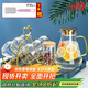 青蘋(píng)果耐熱玻璃冷水壺茶壺11件套 涼水壺水杯杯架托盤(pán)杯刷茶葉罐