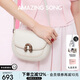 Amazing Song乙頌[教師節禮物]明星同款栗子包小號單肩斜挎包女包高級感馬鞍包