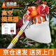 PUANGD摘水果神器萬(wàn)能采摘取器超長(cháng)伸縮桿高空采摘柿子蘋(píng)果石榴杏工具