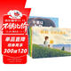 大吳圖畫(huà)書(shū)精選（套裝共5冊）去找奶奶的那一天 不要動(dòng)一只蝸牛等