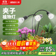 三思夾子植物燈led室內全光譜綠植盆栽花卉分區補光燈-30W三頭定時(shí)