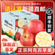 阿克蘇蘋(píng)果【順豐丨新疆直郵】阿克蘇蘋(píng)果水果紅富士冰糖心丑蘋(píng)果新鮮水果 精選果 凈重3斤彩箱丨單果70-79mm（約9個(gè)）