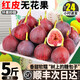 正宗云南紅皮無(wú)花果5斤新鮮水果當季波姬紅一級大果軟糯香甜順豐L 3斤【順豐快遞】