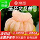 京覓浙江玉環(huán)文旦柚 1粒裝 單果2-2.5斤 生鮮水果文旦柚子 源頭直發(fā)