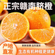 庾豐江西贛南臍橙新鮮橙子孕婦水果整箱年貨送禮團購紐荷爾榨汁手剝橙 5斤裝（凈果4.5斤）單果110g-200g+