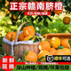 江西贛南臍橙新鮮現(xiàn)摘水果孕婦橙子手剝甜橙贛州產(chǎn)地正宗LL 凈重1.8斤-2斤小果嘗鮮