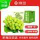 京覓 陽(yáng)光玫瑰晴王葡萄 現摘青提 凈4斤 單顆10g起 新鮮葡萄 源頭直發(fā)