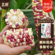 北蔬 玉米種子苗香甜糯自種苞米四季蔬菜種籽 彩甜糯6號玉米種子100g