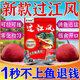 過(guò)江風(fēng)餌料正品濃腥餌料黑坑野釣專(zhuān)用釣鯽魚(yú)鯉魚(yú)過(guò)江風(fēng)魚(yú)餌 1袋【連桿不斷】