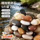 安達通鵝卵石 魚(yú)缸造景雨花石底砂庭院鋪面裝飾天然原石彩色2-3cm5斤