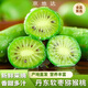 京地達丹東軟棗迷你獼猴桃 凈重3斤單果20g+奇異果莓新鮮源頭直發(fā)包郵