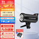 神牛（Godox） 攝影燈sk400二代閃光燈影室閃光燈服裝人像拍照攝影棚套裝影樓服裝攝影燈 SK400II 官方標(biāo)配