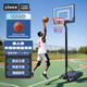 LIVEX成人青少年籃球架可移動(dòng)式戶(hù)外室內籃球框標準比賽訓練投籃訓練