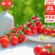 京鮮生 紅寶石198g*4盒禮盒裝 櫻桃番茄 輕食 串番茄 出游零食 源頭直發(fā)