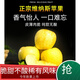 正宗云南維納斯黃金蘋(píng)果5/9斤特大果新鮮富士蘋(píng)果當季水果禮箱裝 3斤中大果【70-75mm】