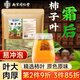 南同四海南京同仁堂柿子葉茶包降霜高三野外壓生脂高作用功效養生茶血400g