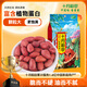 十月稻田 花生米 2斤 (中粒 紅皮 生花生米 東北 五谷 雜糧 粗糧 真空裝)