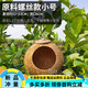 OIMG椰子殼鳥(niǎo)窩虎皮牡丹玄風(fēng)文鳥(niǎo)鸚鵡鳥(niǎo)巢寵物保暖草編窩小鳥(niǎo)玩具用品 小號原料螺絲款