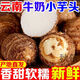 花音谷云南牛奶小芋頭新鮮現挖芋頭奶油芋艿鮮蔬菜竽頭小香芋 單果20g+  2斤 凈重1.5斤