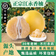 果益壽湖南江永香柚【可選順豐】純甜多汁無(wú)酸白心沙田柚新鮮孕婦水果 江永香柚 9-10斤（5個(gè)左右 ）精選果紙箱裝