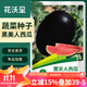 花沃里黑美人西瓜種50粒 蔬菜種子陽(yáng)臺花盆西瓜盆栽種菜土庭院田間種植