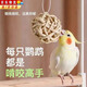 蘭憐鳥(niǎo)玩具鸚鵡藤球智商訓練啃咬開(kāi)智玄風(fēng)虎皮牡丹磨牙道具解悶防抑郁 原色藤球3cm【10個(gè)裝】