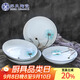 蘇氏陶瓷（SUSHI CERAMICS）湯盤(pán)子夢(mèng)之蘭創(chuàng  )意日式家用陶瓷菜盤(pán)子8英寸4只裝中餐具J0307