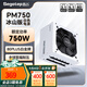 鑫谷（segotep）電源650W/750W/850W/1000W/1250W 臺式機GM/PM系列金牌全模組組裝電腦電腦主機模組電源 PM750W冰山版白金牌全模組電源ATX3.1