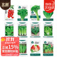 北蔬 蔬菜種子苗生菜菠菜小香蔥芹菜陽(yáng)臺四季菜種籽 12種蔬菜種子套餐