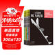 【京東專(zhuān)贈直尺】二宮康明紙飛機集（套裝5冊）打破你對紙飛機的常規想象 科普益智假期書(shū)單 飛機航模手工書(shū) 樂(lè )高拼裝玩具 禮物書(shū) 航展 后浪