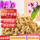 漫生活干水苔/苔蘚(特級)營(yíng)養土蝴蝶蘭君子蘭烏龜盆栽蓬松保濕景觀(guān)100g