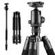 偉峰C6630A碳纖維專(zhuān)業(yè)三腳架 大球體球徑 單反相機攝影攝像 專(zhuān)業(yè)穩定款三角架支架