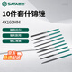世達（SATA）03802 10件套什錦銼4x160MM