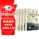 百科全書(shū)（套裝共4冊 青少年版） 