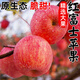 山東紅富士蘋(píng)果新鮮水果應當季脆甜丑萍果糖心孕婦整箱中秋節禮盒 凈重4.5斤【12個(gè)左右】