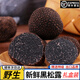 25年云南新鮮黑松露野生【順豐空運】香格里拉松露菌塊菌送禮盒裝 2-3cm新鮮黑松露【成熟】 【500g】家用推薦