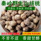 秦嶺山野外生山核桃老樹(shù)干核桃黑桃原味生核桃非紙皮孕婦核桃堅果 野生山核桃大果5斤【送夾子】