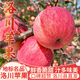 洛川蘋果陜西延安特產(chǎn)紅富士時(shí)令蘋果水果禮盒送蘋果生鮮新鮮脆甜整箱批發(fā) 凈重8.5斤80-85mm 鉑金大果脆甜
